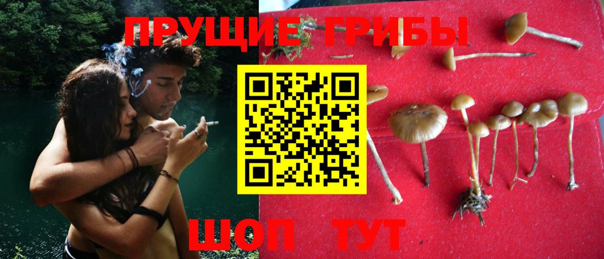 Псилоцибиновые грибы мицелий Шали